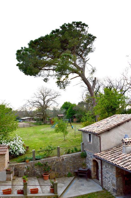 Agriturismo Tenuta Buon Respiro Orvieto Eksteriør bilde